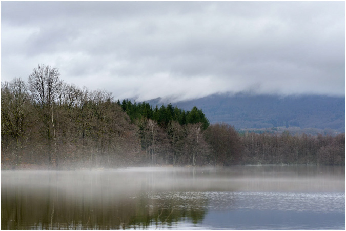 C0019-Etang%20Neuf%20(Territoire%20de%20Belfort)