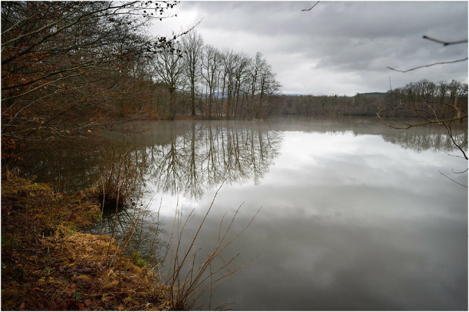 C003-Etang%20Neuf%20(Territoire%20de%20Belfort)