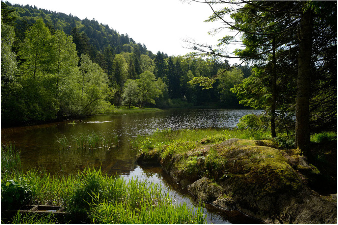 C006-Etang%20du%20Petit%20Haut%20(Territoire%20de%20Belfort)