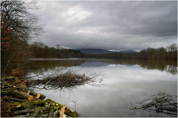 C014-Etang%20Neuf%20(Territoire%20de%20Belfort)