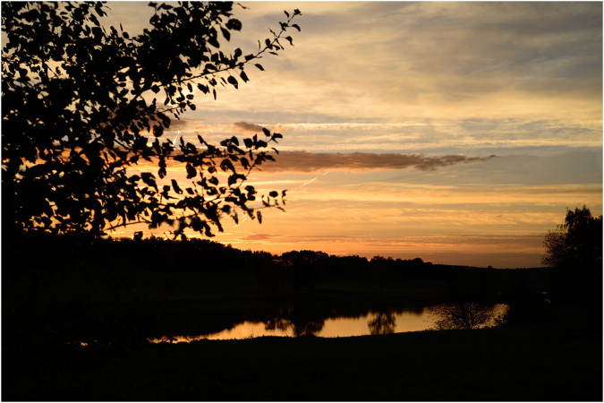 C015-Etang%20d'Avau(Territoire%20de%20Belfort)