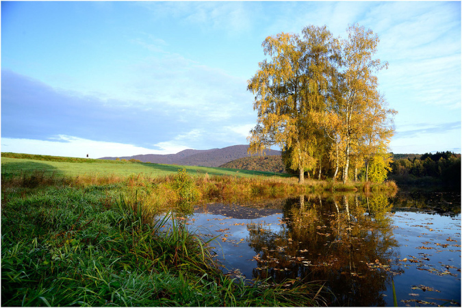 C020-Etang%20d'Amont%20(Territoire%20de%20Belfort)