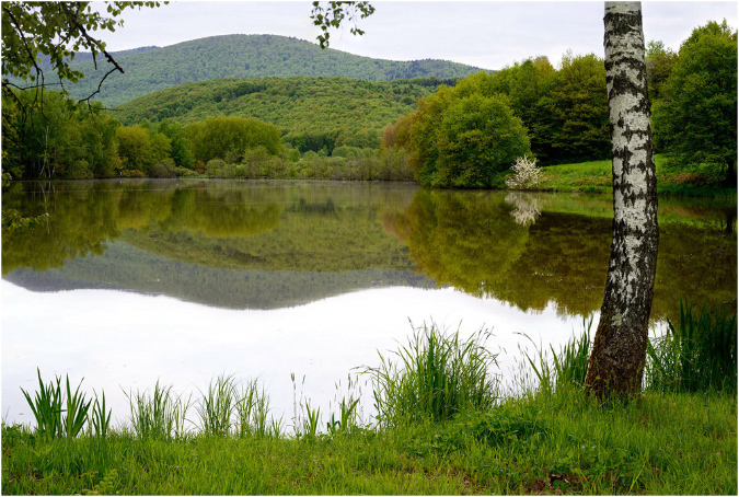 C024-Etang%20d'Amont%20(Territoire%20de%20Belfort)