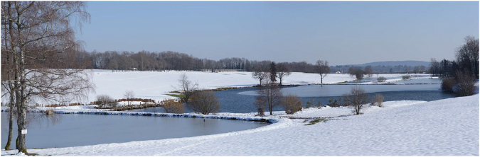 C036-Etangs%20d'Amont%20et%20d'Avau(Territoire%20de%20Belfort)