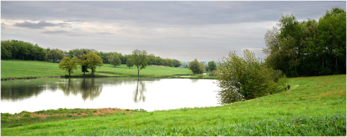 C040-Etang%20d'Avau%20(Territoire%20de%20Belfort)