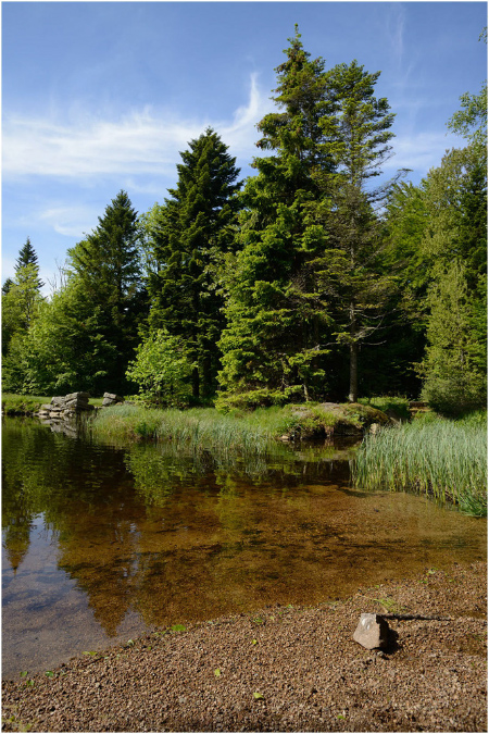 C052-Etang%20du%20Petit%20Haut%20(Territoire%20de%20Belfort)
