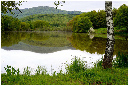 C024-Etang%20d'Amont%20(Territoire%20de%20Belfort)