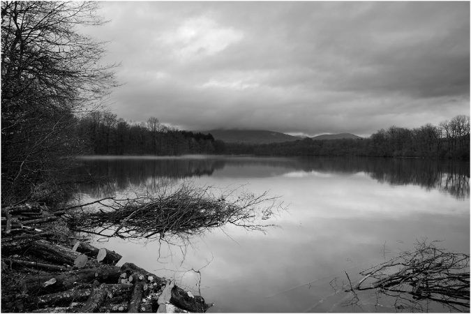 NB009-Etang%20Neuf%20(Territoire%20de%20Belfort)