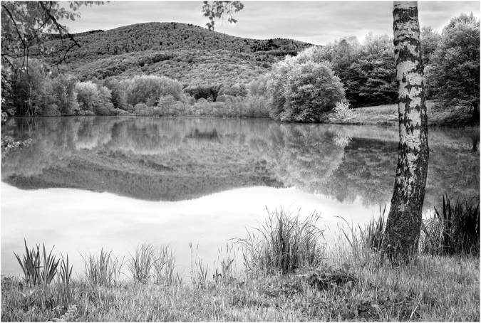 NB022-Etang%20d'Amont%20(Territoire%20de%20Belfort)