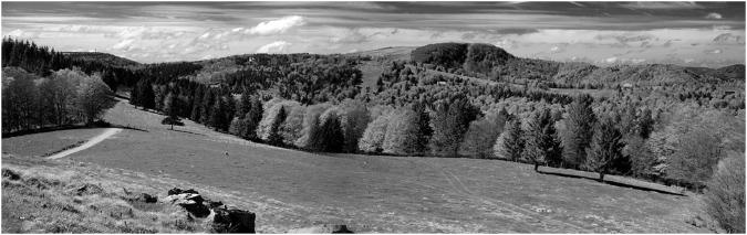 NB028-Ballon%20d'Alsace%20vu%20de%20la%20Gentiane%20(Territoire%20de%20Belfort)