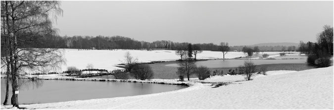 NB031-Etangs%20d'Amont%20et%20d'Avau(Territoire%20de%20Belfort)