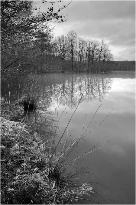 NB037-Etang%20Neuf%20(Territoire%20de%20Belfort)