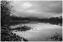 NB009-Etang%20Neuf%20(Territoire%20de%20Belfort)