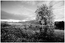 NB018-Etang%20d'Amont%20(Territoire%20de%20Belfort)